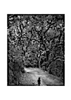 Child on Forest Road - notecard