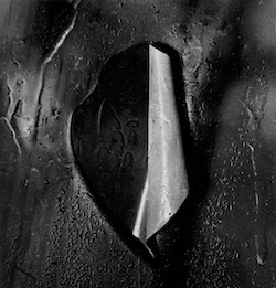 Wynn Bullock photograph, Peeling Pain, 1970