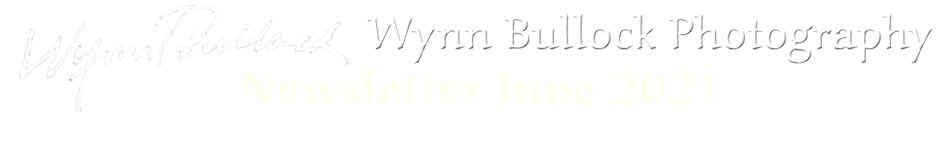 The header for this newsletter: Wynn Bullock Photography Newsletter, June 2021.