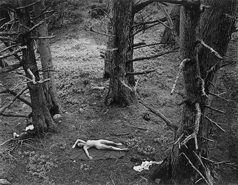 Wynn's Woman and Dog in Forest, 1953