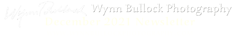 The header for this newsletter: Wynn Bullock Photography Newsletter, December 2021.