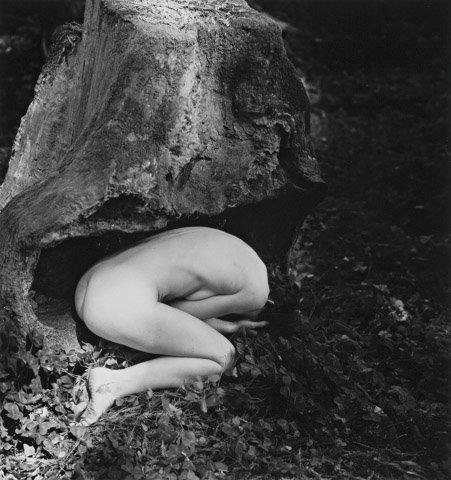 Jane in Tree Trunk, 1988