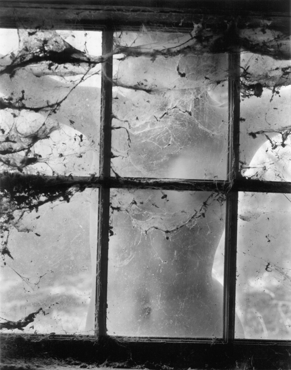 Wynn Bullock: Nude behind Cobwebbed Window, 1955