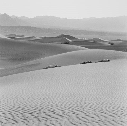 Edna Bullock: Three Nudes on Dunes, 1990